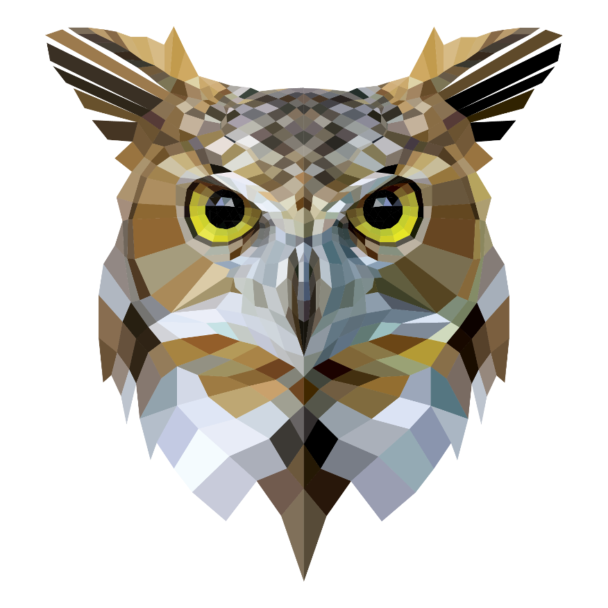 4GK Owl